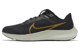 Кроссовки Nike Air Zoom Pegasus 40 мужские, Черный hf0732-070 | black