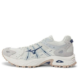 Кроссовки wave rider 10 'white' Mizuno, белый d1gh222803 | white/tan/blue