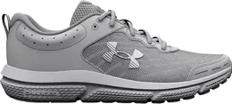 Мужские кроссовки Under Armour Charged Assert 10, серый/белый 10555552 | gray/white