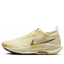 Кроссовки Nike Pegasus Trail 5 Gore-Tex 'Alabster Medium Ash Lightening', золотой fq0908-700 | gold