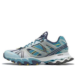 Беговые кроссовки Reebok Dmx Trail Shadow 'Blue White', синий fx4398 | blue