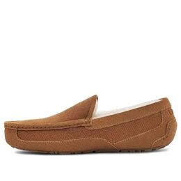 Кроссовки Ugg Ascot Corduroy II 'Chestnut', коричневый 1125932-che | brown