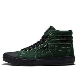 Кеды Vans SK8-Hi 238 Dakota Roche BMX, зеленый vn0007ra203 | green
