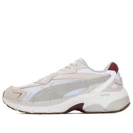 Кроссовки Puma Teveris Nitro 'Feather Grey Wood Violet', серый 388774-11 | grey