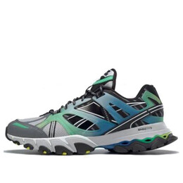 Кроссовки dmx trail shadow 'gradient pack - bottle green' Reebok, серый fv5632 | grey/green