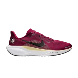 Кроссовки Nike NCAA x Air Zoom Pegasus 41 'Florida State', красный ib3255 600 | team maroon/white/white/team gold