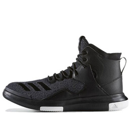 Кроссовки Adidas D Rose Lakeshore Ultra 'Black White', черный bb8226 | black/white