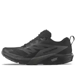 Кроссовки Salomon Sense Ride 5 GTX 'Black' 471472 / l47147200
