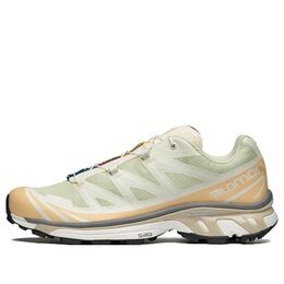 Кроссовки Salomon XT-6 'Aloe Wash Hazelnut' 472937, зеленый 472937 / l47293700