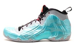 Мужские баскетбольные кроссовки Nike Flightposite Vintage 647593-300