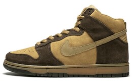 Мужские кроссовки для скейтбординга Nike Dunk SB High 305050-222
