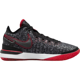 Кроссовки Nike FaZe Clan x Zoom LeBron NXXT Gen EP, черный dr8788 001 | black