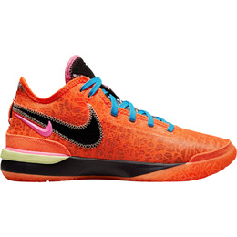 Кроссовки Nike Zoom LeBron NXXT Gen EP, разноцветный dr8788 900 | multi-color