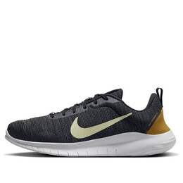 Кроссовки flex experience run 12 Nike, черный dv0740-002 | black/anthracite/bronzine/olive aura