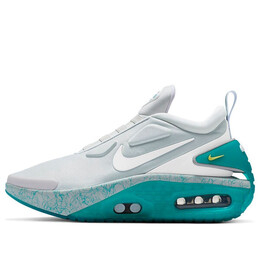Кроссовки адаптируют авто макс Nike, белый cz6800-001 | white/blue