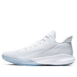 Кроссовки точность 4 Nike, белый ck1069-100 | white/blue