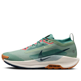Кроссовки pegasus trail 5 gore tex Nike, зеленый fq0908-300 | jade horizon/bicoastal/pale ivory/armory navy