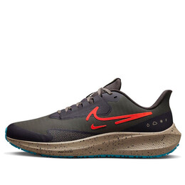 Кроссовки air zoom pegasus 39 shield Nike, черный do7625-200 | black/brown