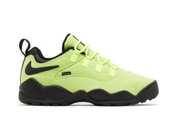 Кроссовки Nike Supreme x Darwin Low SB, зеленый fq3000 700 | green