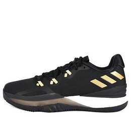 Кроссовки crazylight boost 2018 Adidas, черный ac8365 | black