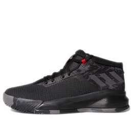 Кроссовки d lillard brookfield Adidas, черный cq0532 | black
