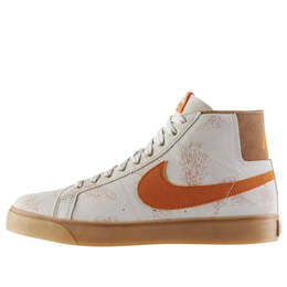 Кроссовки zoom blazer sb skateboard canvas tan Nike, мультиколор 647565-022 | light /light brown