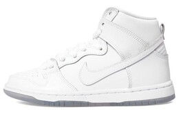 Кроссовки Nike Sb Dunk High White Ice 305050-113