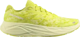 Salomon Кроссовки Aero Glide 2 'Sulphur Spring', желтый l47426900 | yellow