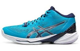 Мужские тренировочные кроссовки Asics Sky Elite FF 1051a065-403