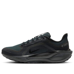 Кроссовки пегас 41 gore tex Nike, черный fq1356-001 | black/black