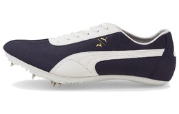 Puma Кроссовки Мужчины 377130-01