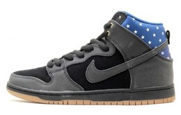 Мужские кроссовки для скейтбординга Nike Dunk SB High 313171-022