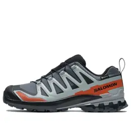 Кроссовки Salomon XA Pro 3D V9 GTX 'Grey Light Blue', серый 478175 | grey