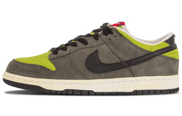 Мужские кроссовки для скейтбординга Nike Dunk Low 624044-003