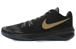 Мужские баскетбольные кроссовки Nike Zoom Evidence Vintage 908978-090