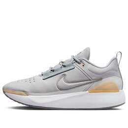 Кроссовки e-series 1.0 grey Nike, мультиколор dr5670-003 | flat pewter/hemp/light smoke grey