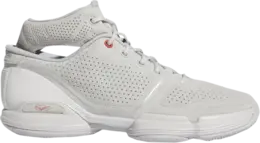 Кроссовки Adidas D Rose 1 Retro 'Concrete', серый fv8057 | grey