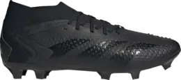 Adidas Кроссовки Predator Accuracy.2 FG 'Nightstrike Pack', черный gw4588 | black