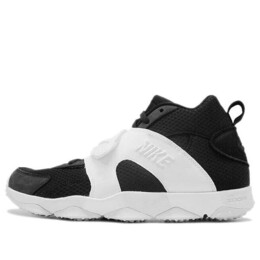 Кроссовки Zoom Veer Nike, черный 844675-001 | black/white-white