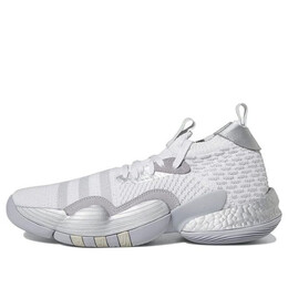 Кроссовки trae young 2 Adidas, серый hq0997 | dash grey / halo silver / matte silver
