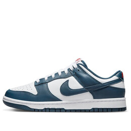 Кроссовки данк лоу Nike, синий dd1391-400 | valerian blue/white