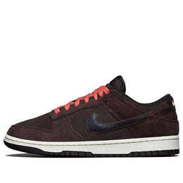 Кроссовки Nike Dunk, коричневый dq8801-200 | brown