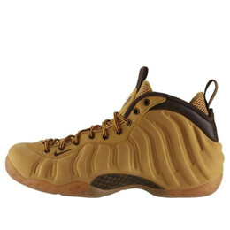 Кроссовки air foamposite one prm Nike, коричневый 575420-700 | brown
