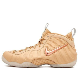 Кроссовки air foamposite pro premium Nike, коричневый 920377-200 | brownbrown/brownbrown