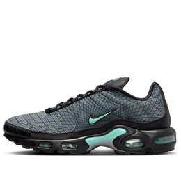 Кроссовки air max plus Nike, серый fb3351-001 | light smoke grey/black/iron grey/green glow