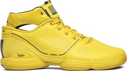 Кроссовки Adidas D Rose 1 Retro 'Simeon', желтый fw3665 | yellow