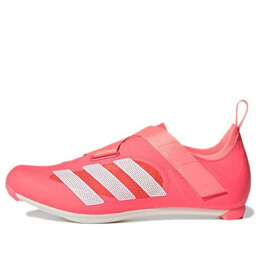 Кроссовки для езды на велосипеде в помещении Adidas, оранжевый gz6343 | orange/white