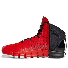 Кроссовки d rose 4 evo Adidas, алый fx4067 | scarlet/core black/cloud white