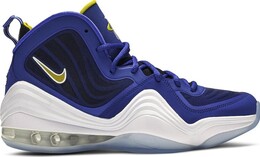 Кроссовки Nike Air Penny 5 'Blue Chips', синий 537331402 | blue