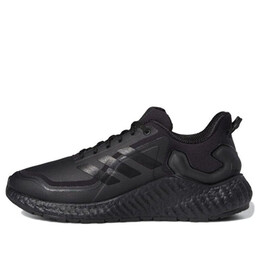 Кроссовки climawarm ltd Adidas, черный eg5574 | black